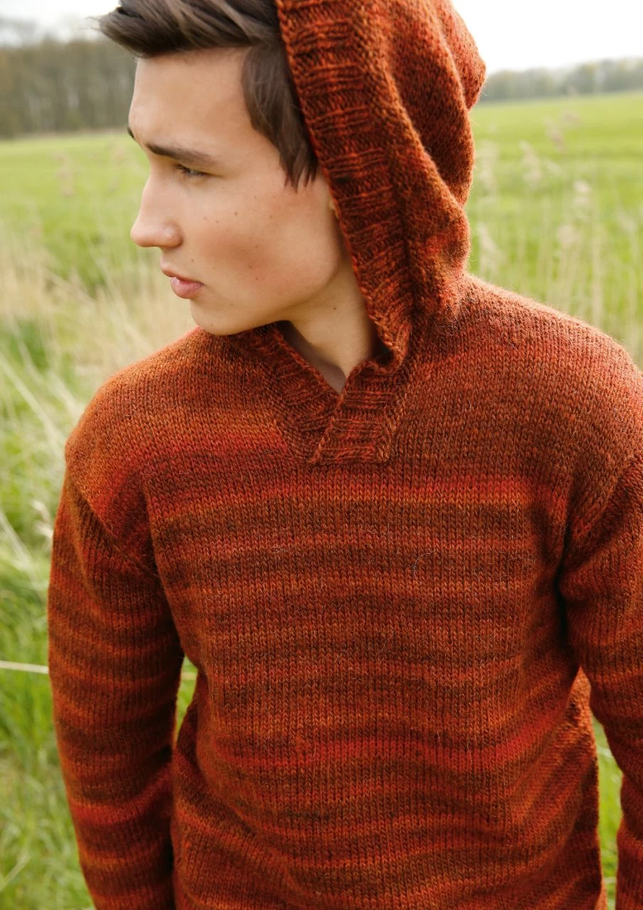 Herrenpullover Mit Kapuze 2 Herrenpullover Mit Kapuze – Bild 2