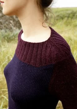 2-farbiger Pullover 10 2-farbiger Pullover -Strickwaren Geschäft R72M05 d 1280x1280