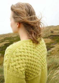 Pullover Mit Verzopfter Passe 8 Pullover Mit Verzopfter Passe -Strickwaren Geschäft R80M20 d 1280x1280